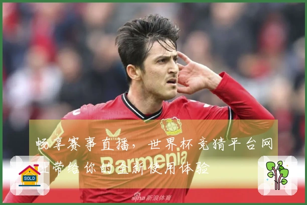 畅享赛事直播，世界杯竞猜平台网址带给你的全新使用体验
