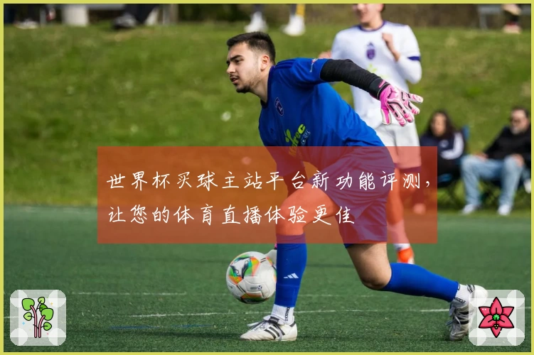世界杯买球主站平台新功能评测，让您的体育直播体验更佳