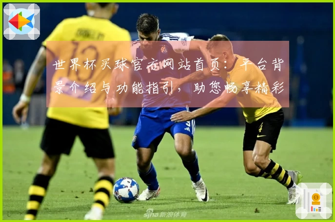 世界杯买球官方网站首页：平台背景介绍与功能指引，助您畅享精彩赛事体验
