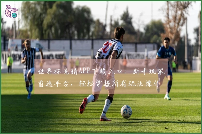 世界杯竞猜APP下载入口：新手玩家首选平台，轻松掌握所有玩法操作指南