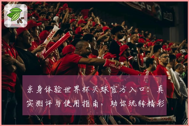 亲身体验世界杯买球官方入口:真实测评与使用指南,助你玩转精彩赛事。