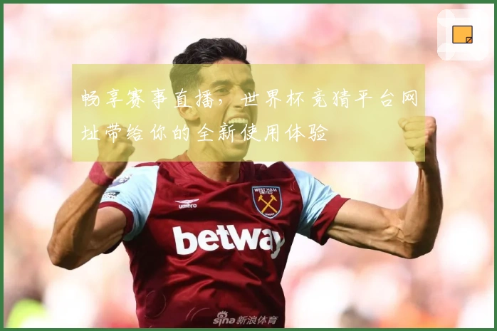 畅享赛事直播，世界杯竞猜平台网址带给你的全新使用体验