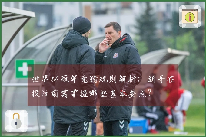 世界杯冠军竞猜规则解析：新手在投注前需掌握哪些基本要点？