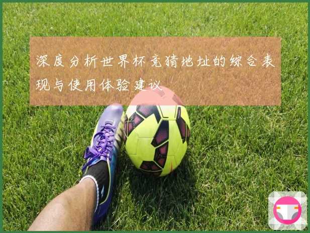 深度分析世界杯竞猜地址的综合表现与使用体验建议