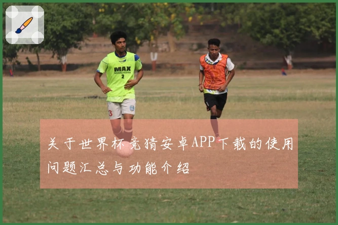 关于世界杯竞猜安卓APP下载的使用问题汇总与功能介绍