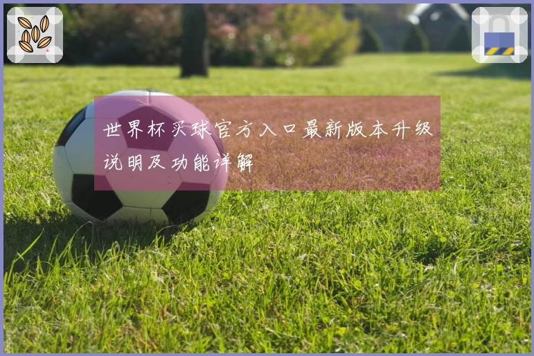 世界杯买球官方入口最新版本升级说明及功能详解