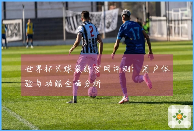 世界杯买球最新官网评测：用户体验与功能全面分析