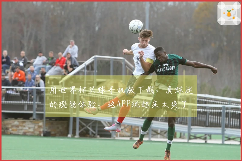 用世界杯买球手机版下载，真球迷的现场体验，这APP玩起来太爽了